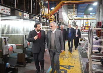 مدیرعامل بانک صنعت و معدن از چندین طرح صنعتی در این استان بازدید کرد