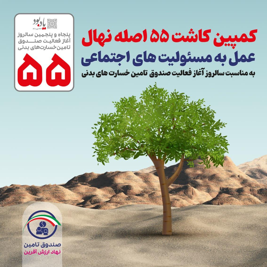 مدیرعامل صندوق تامین خبر داد؛  کاشت ۵۵ اصله نهال توسط صندوق تامین به مناسبت سالروز آغاز فعالیت