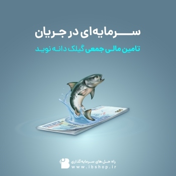 سرمایه ای در جریان تامین مالی جمعی شرکت گیلک دانه نوید کلید خورد