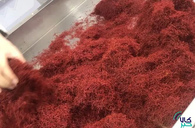 مدیر سابق رینگ کشاورزی بورس کالا مطرح کرد واقعی شدن قیمت زعفران؛ ارمغان بورس کالا برای زعفران‌کاران