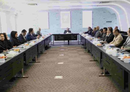 مدیرعامل شرکت بیمه دی در شورای مدیران این شرکت عنوان کرد؛ ایجاد تحول نیازمند توجه به سرمایه های انسانی است