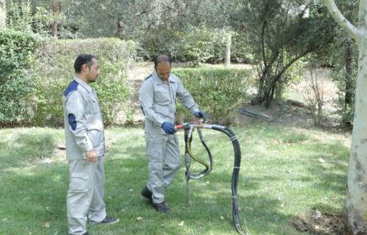 تزریق کود و مواد مغذی با استفاده از روش بیولیفت به بستر ۲۰ اصله درخت