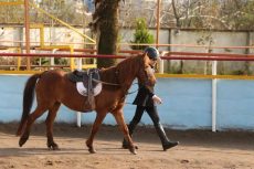 بیستمین جشنواره ملی زیبایی اسب كاسپین در منطقه آزاد انزلی برگزار شد