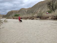 پیکر دختربچه ۹ ساله مفقودشده در رودخانه رویدر پیدا شد